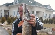 Застава у Оки. Фото 7270.